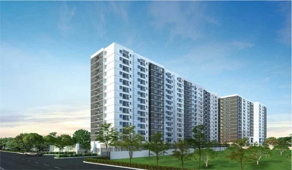 Prestige Clairemont Pre-Launch